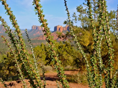 Sedona-Cathedral-View