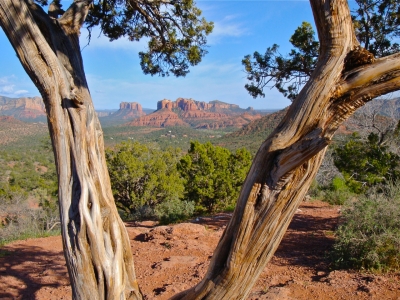 Wedding-Tree-Knoll-Sedona